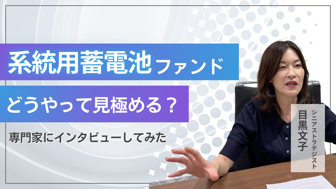 系統用蓄電池ファンドってどうやって見極める？専門家へインタビューを敢行！